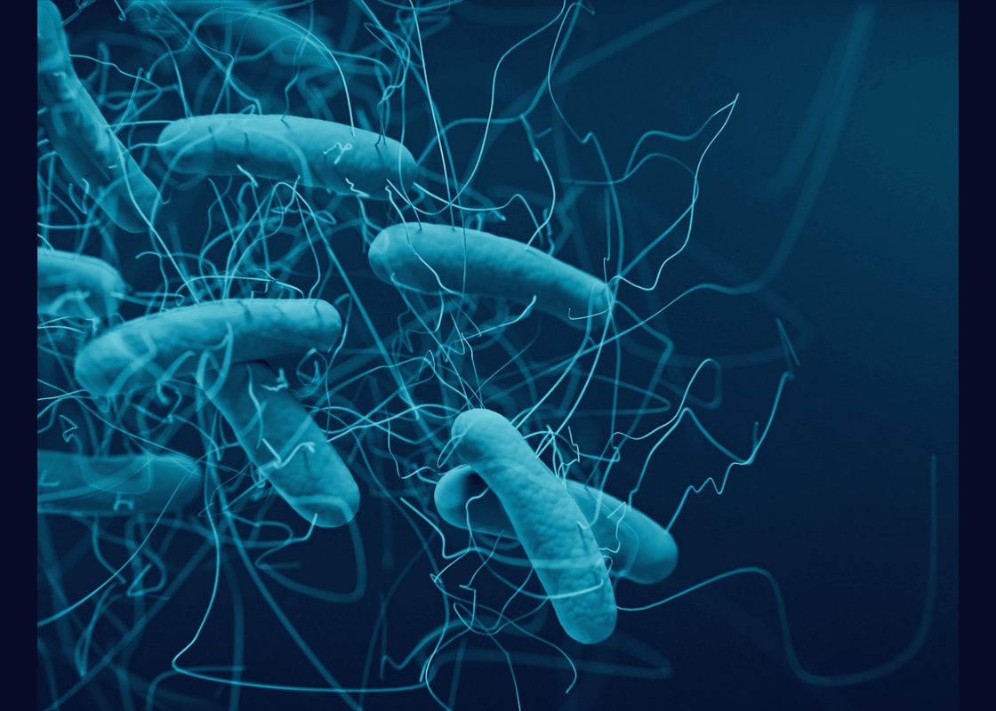 Gut microbes